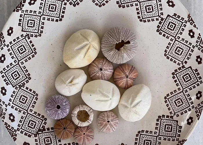 Apartment Casa Nina *